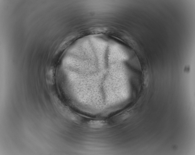 X0000112800378200909181542