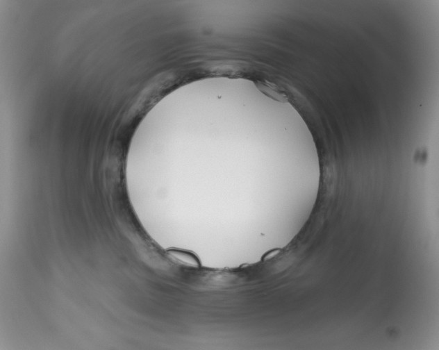 X0000112800379200909181542
