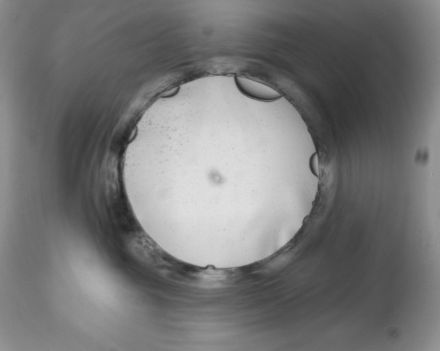 X0000112800381200909181542