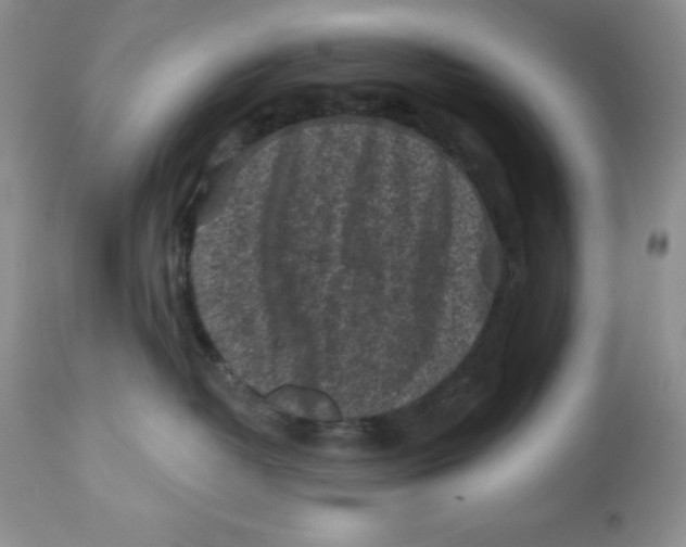 X0000112800382200909181542