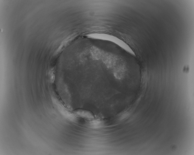 X0000112800383200909181542