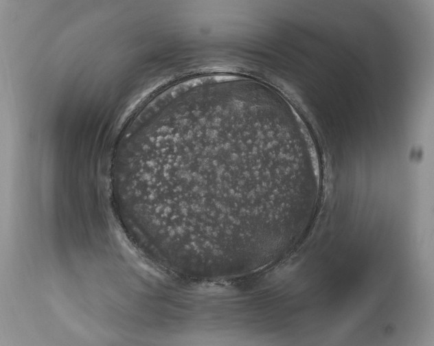 X0000112800386200909181541