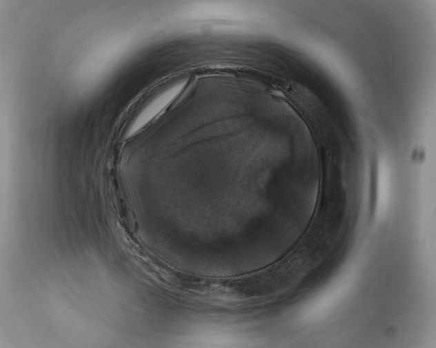 X0000112800387200909181541