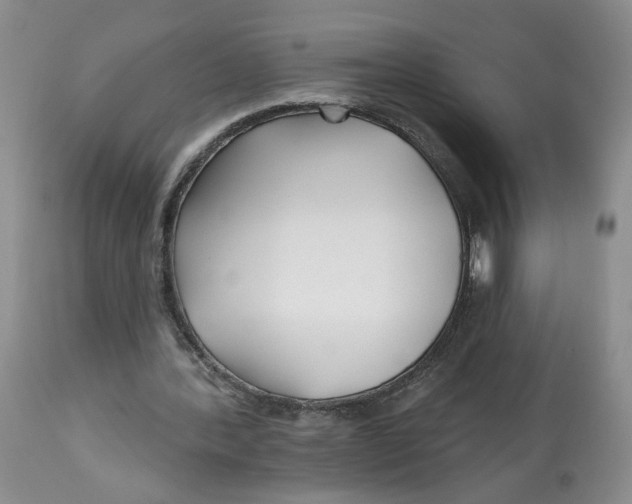 X0000112800388200909181541