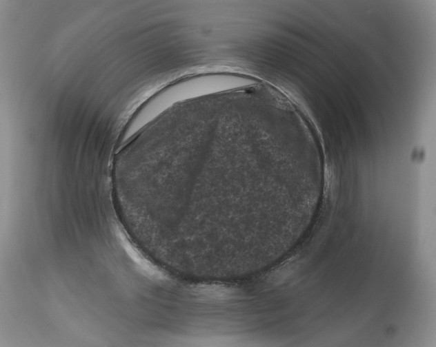 X0000112800389200909181541