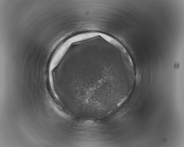 X0000112800390200909181541