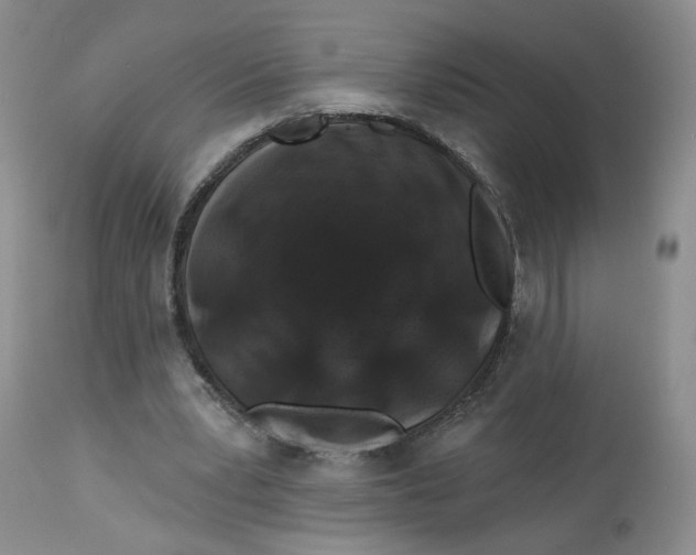 X0000112800391200909181541