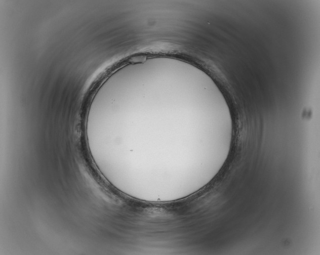 X0000112800392200909181541
