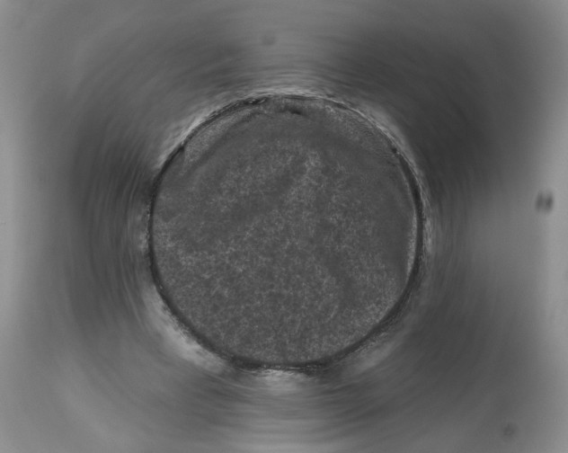 X0000112800393200909181541