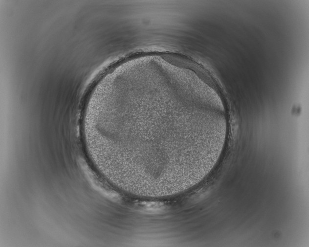 X0000112800395200909181541