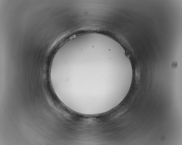 X0000112800396200909181541