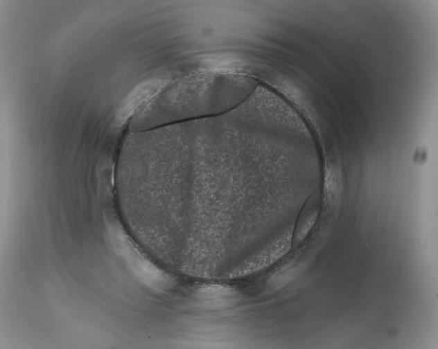 X0000112800397200909181541