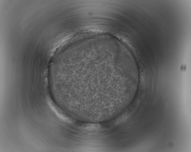 X0000112800398200909181541