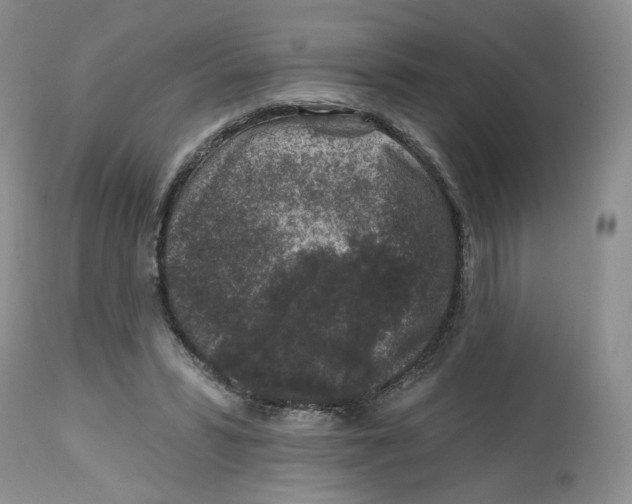 X0000112800399200909181541