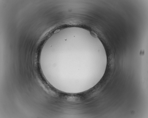 X0000112800400200909181541