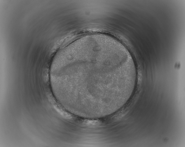X0000112800401200909181541