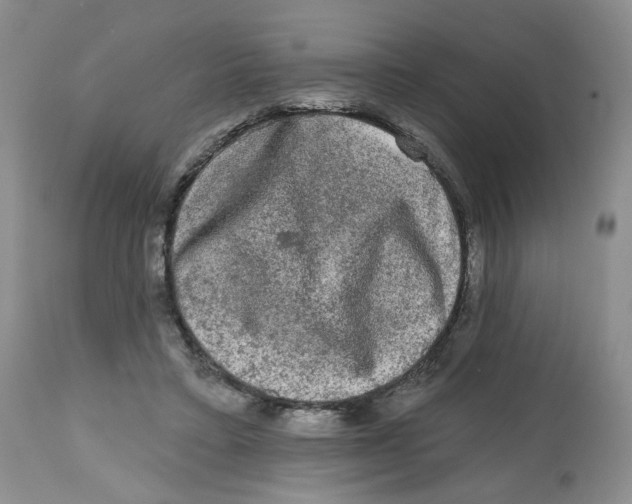X0000112800403200909181541