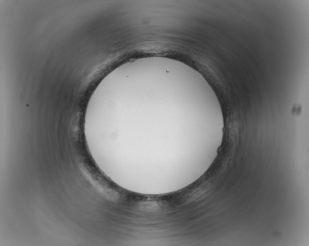 X0000112800404200909181541