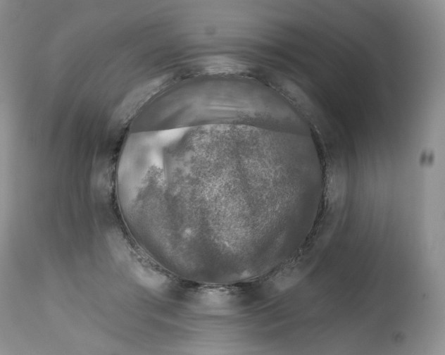 X0000112800405200909181541