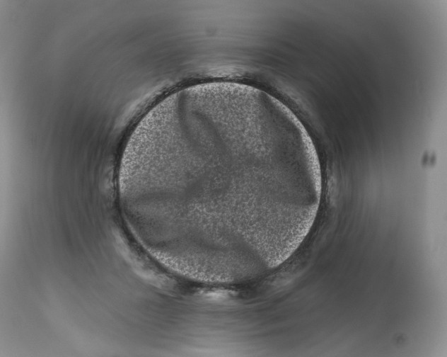 X0000112800407200909181541