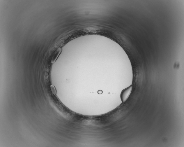 X0000112800408200909181541