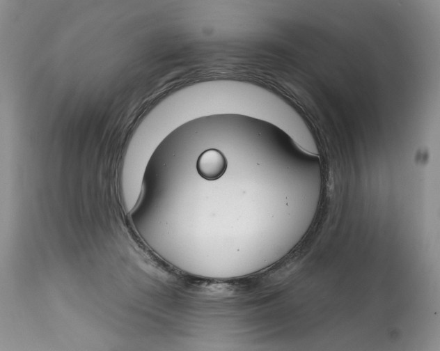 X0000112800409200909181541