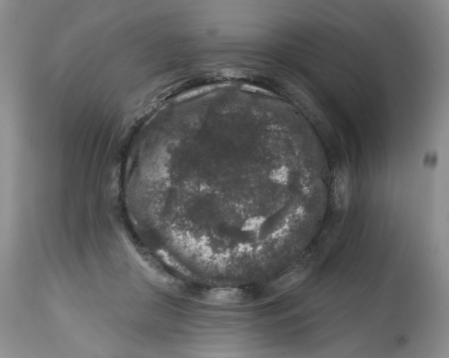 X0000112800410200909181541