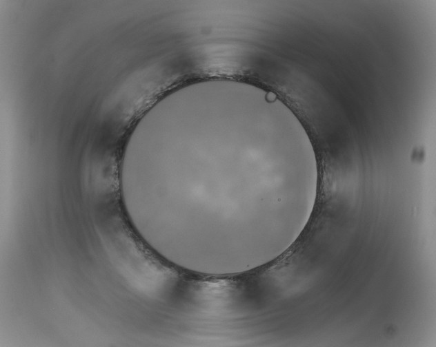 X0000112800411200909181541