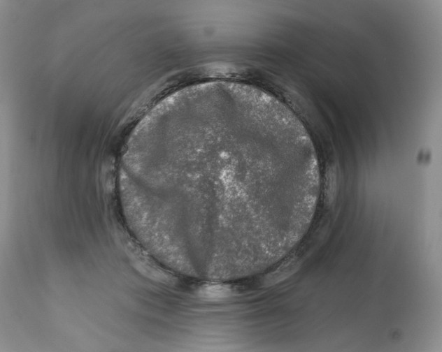 X0000112800413200909181541