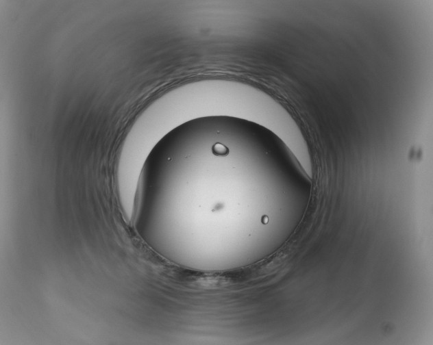 X0000112800415200909181541