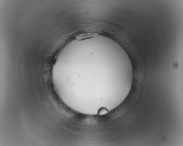 X0000112800416200909181541
