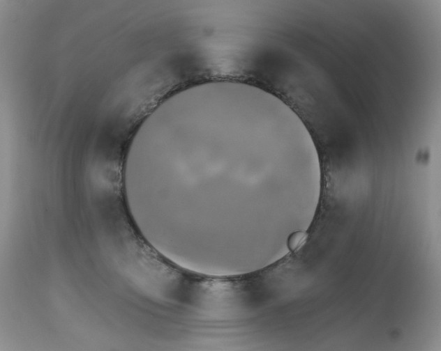X0000112800419200909181541