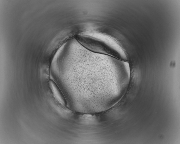 X0000112800421200909181541