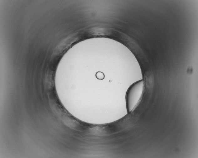 X0000112800422200909181541