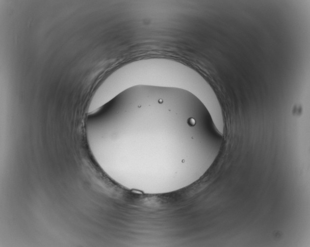 X0000112800423200909181541