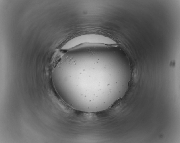 X0000112800424200909181541