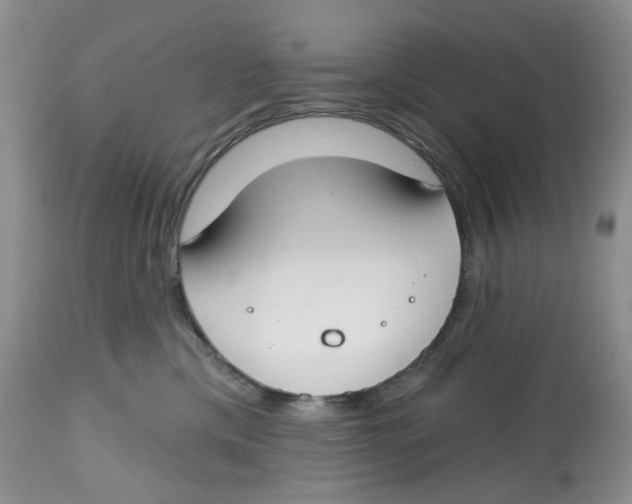 X0000112800425200909181541