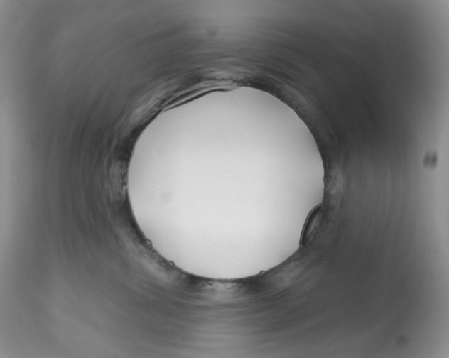 X0000112800428200909181541