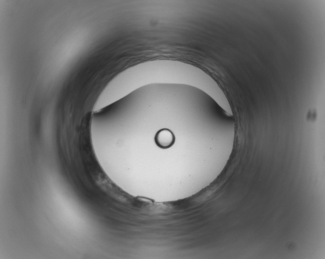 X0000112800429200909181541