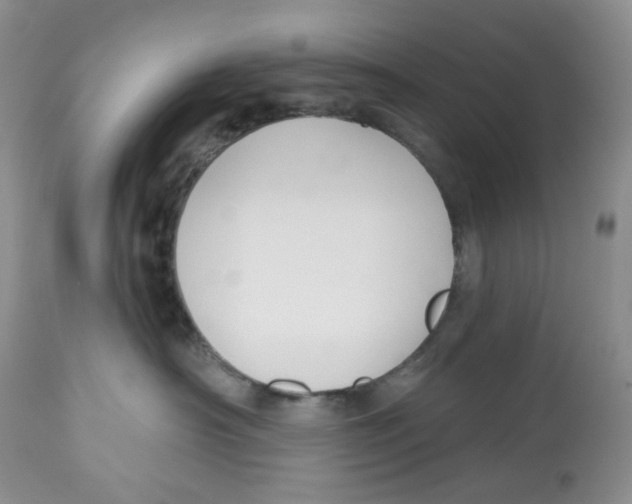 X0000112800430200909181541