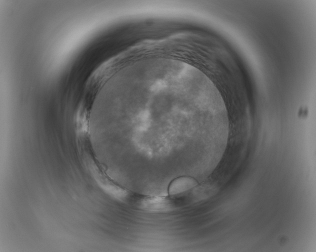 X0000112800431200909181541