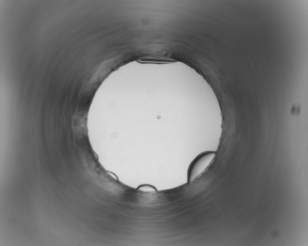 X0000112800432200909181541