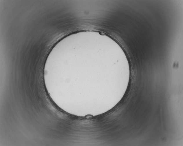 X0000112800433200909181540