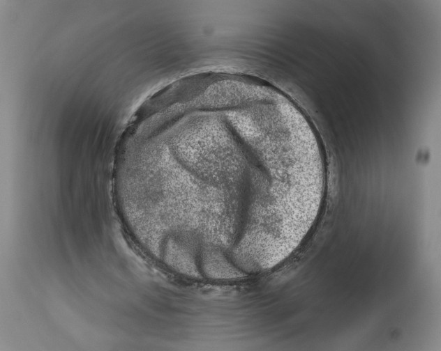 X0000112800434200909181540
