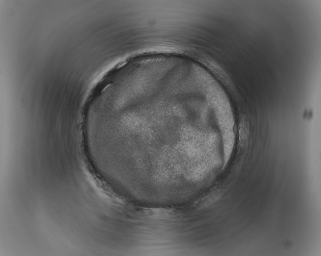 X0000112800436200909181540