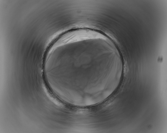 X0000112800438200909181540