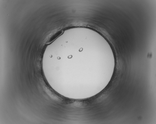 X0000112800441200909181540