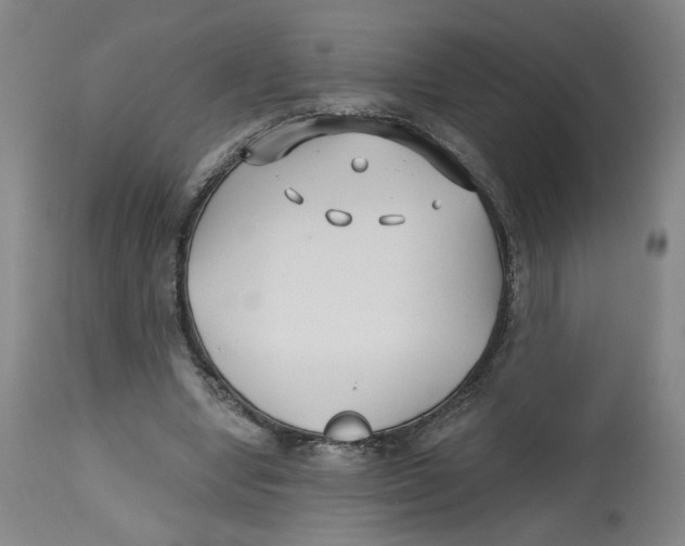 X0000112800442200909181540