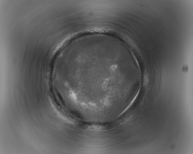 X0000112800444200909181540