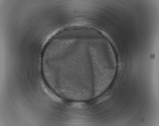 X0000112800446200909181540